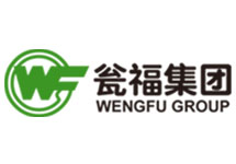 智能電磁流量計廠(chǎng)家 西森用心打動(dòng)甕福集團
